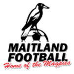 Home team