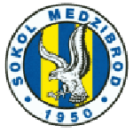 DVS '33 Ermelo