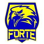 Home Team Logo