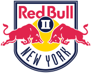 Home team