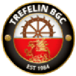 Zaglebie U19