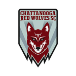 Home team
